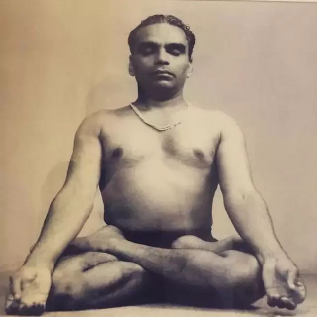 常见的艾扬格瑜伽体式,艾扬格瑜伽23个基本体式