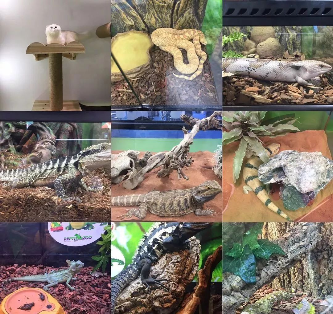 iphone12pro怎么截长图,iphone6plus怎么截长图