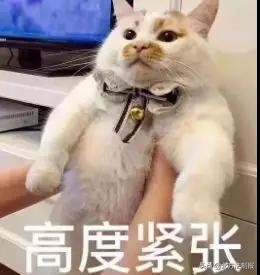 家长教育孩子要不要很严厉,家长对孩子过于严厉会怎样