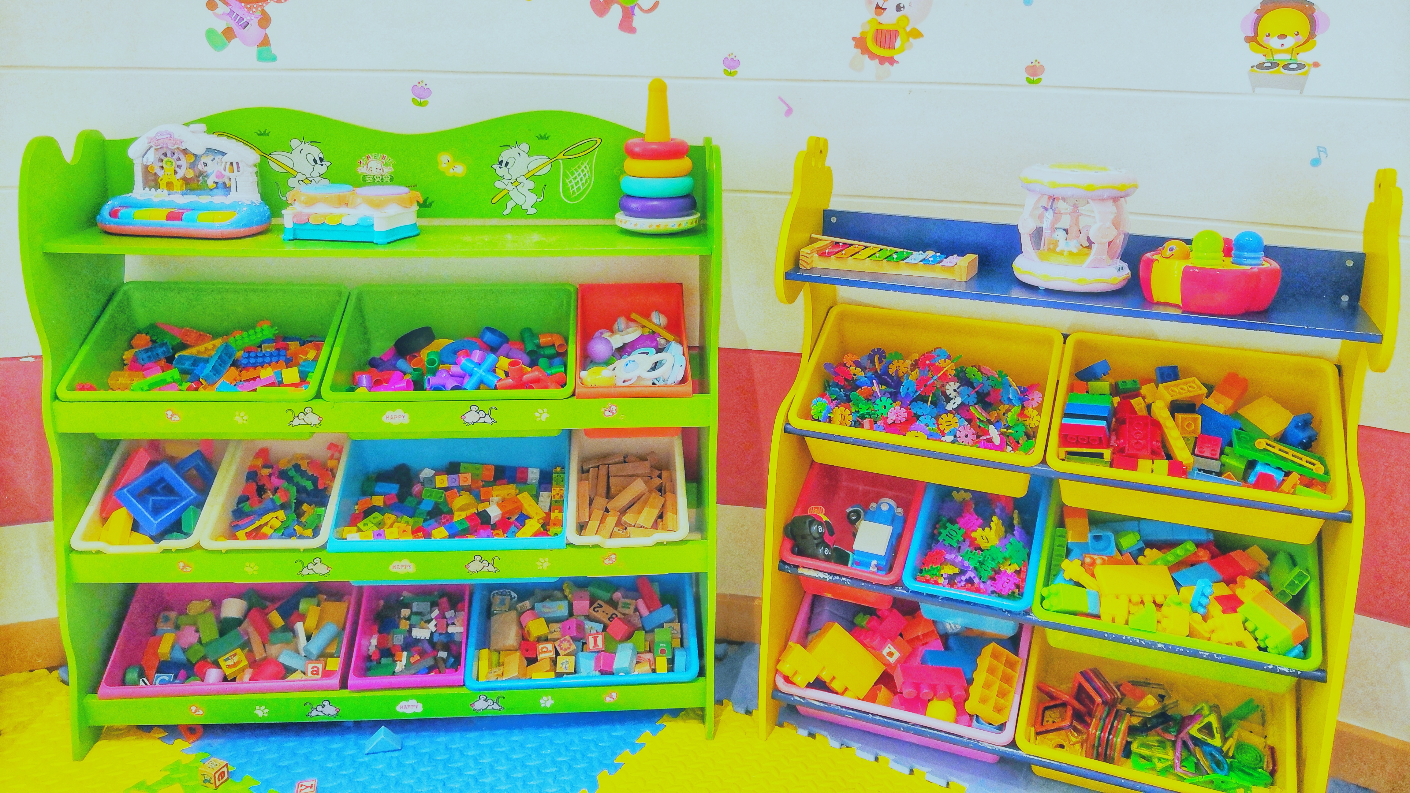 都是网红惹的祸,都是网红惹的祸完整版