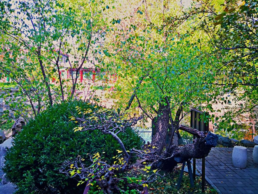 溥仪死后爱新觉罗家族,末代清朝皇帝爱新觉罗溥仪简介