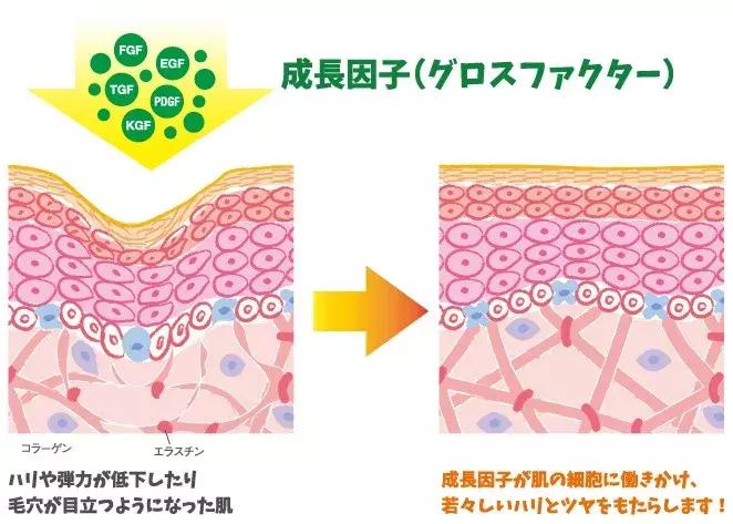 城野医生377精华反黑,城野医生精华合集测评