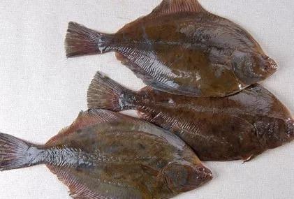 开海什么海鲜最好,开海季肥美海鲜