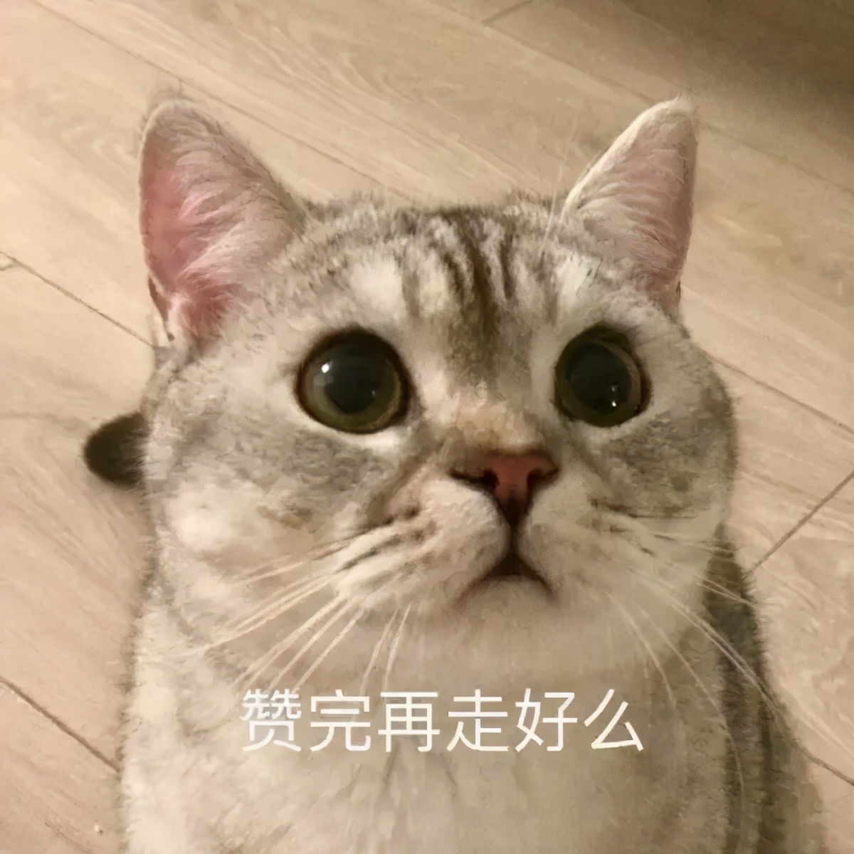http修改成httpstomcat,nginx配置tomcat的https访问