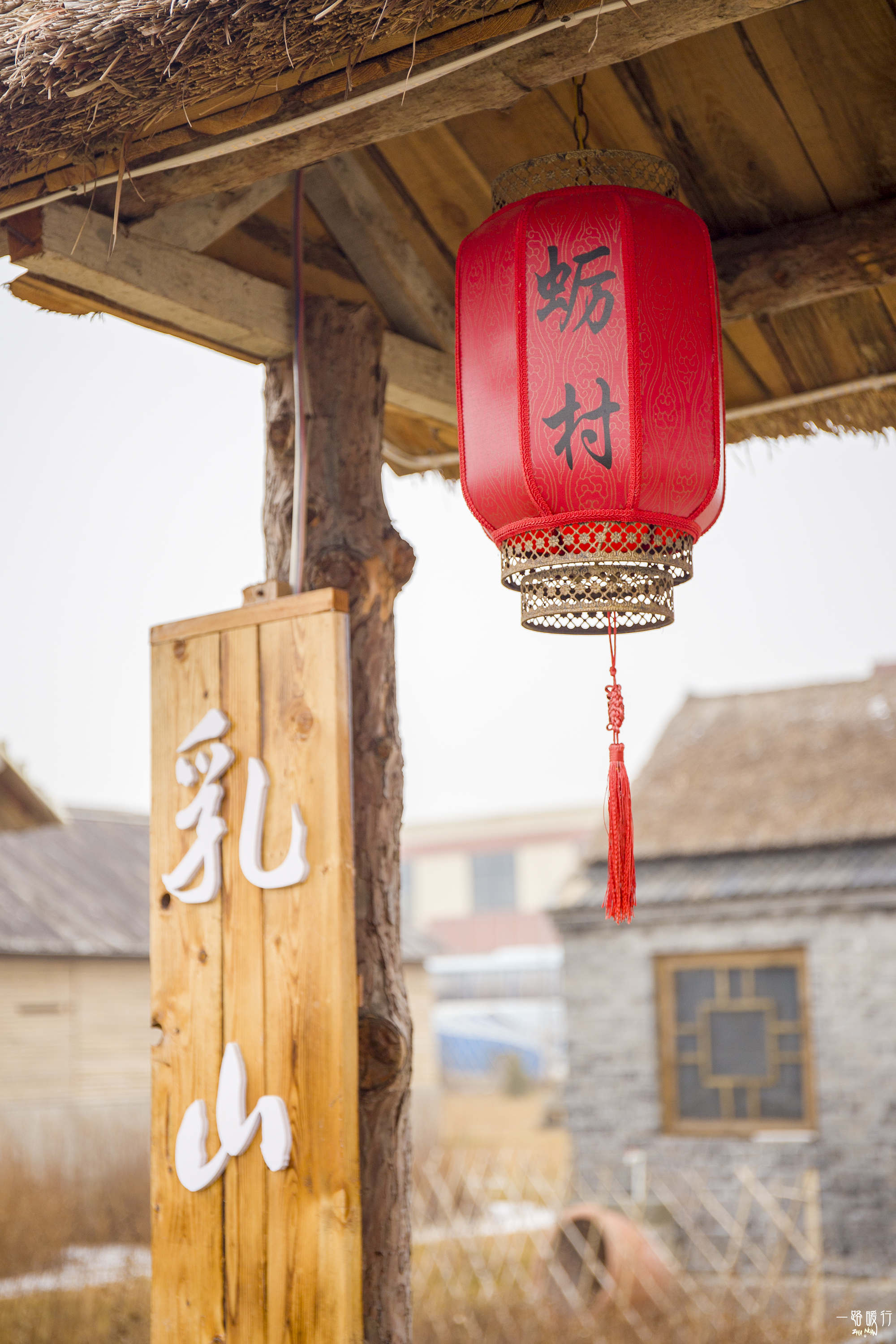 牡蛎生命意义,野生牡蛎的价值