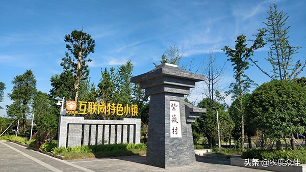 资阳田园乡村旅游景点,湖南省益阳市桃江县美丽乡村