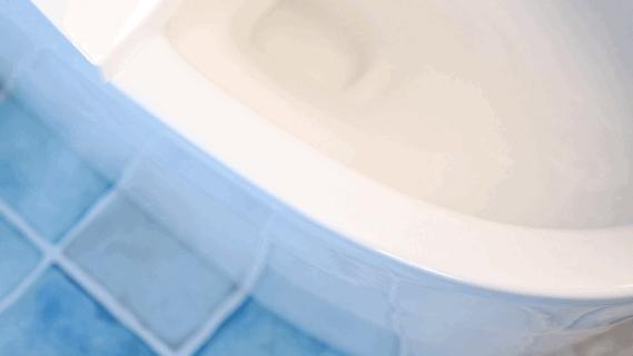 保卫菊花，从马桶做起——水鹿大鲸一体自动马桶使用感受