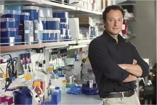 人工培养类婴儿“大脑”，或可用于治疗疾病