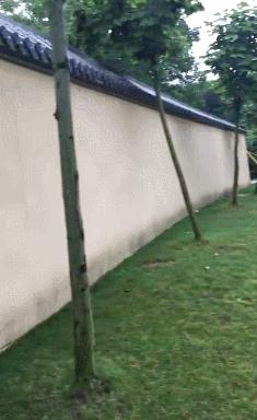 影视剧的剑道具,影视剧中的古代神器兵器