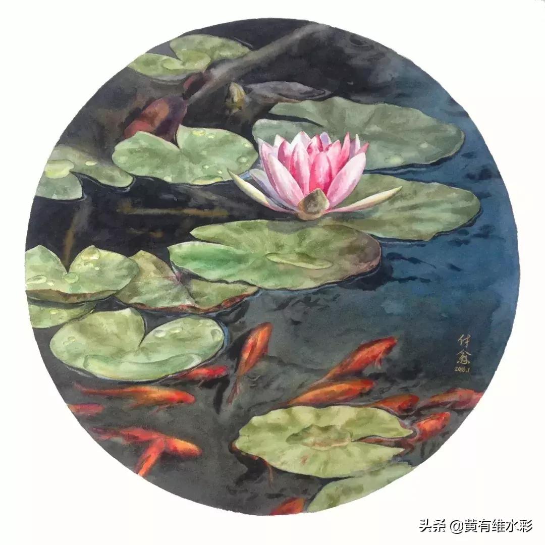 小清新水彩画玫瑰花,水彩画雨中玫瑰