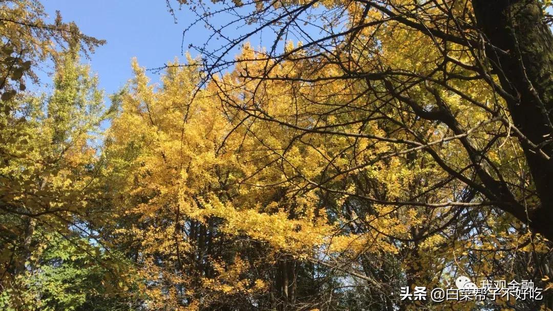 香港四大保险公司重疾险对比表,香港正规的保险公司有哪些