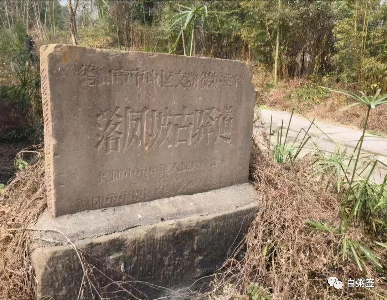 故事：何竞||落凤坡