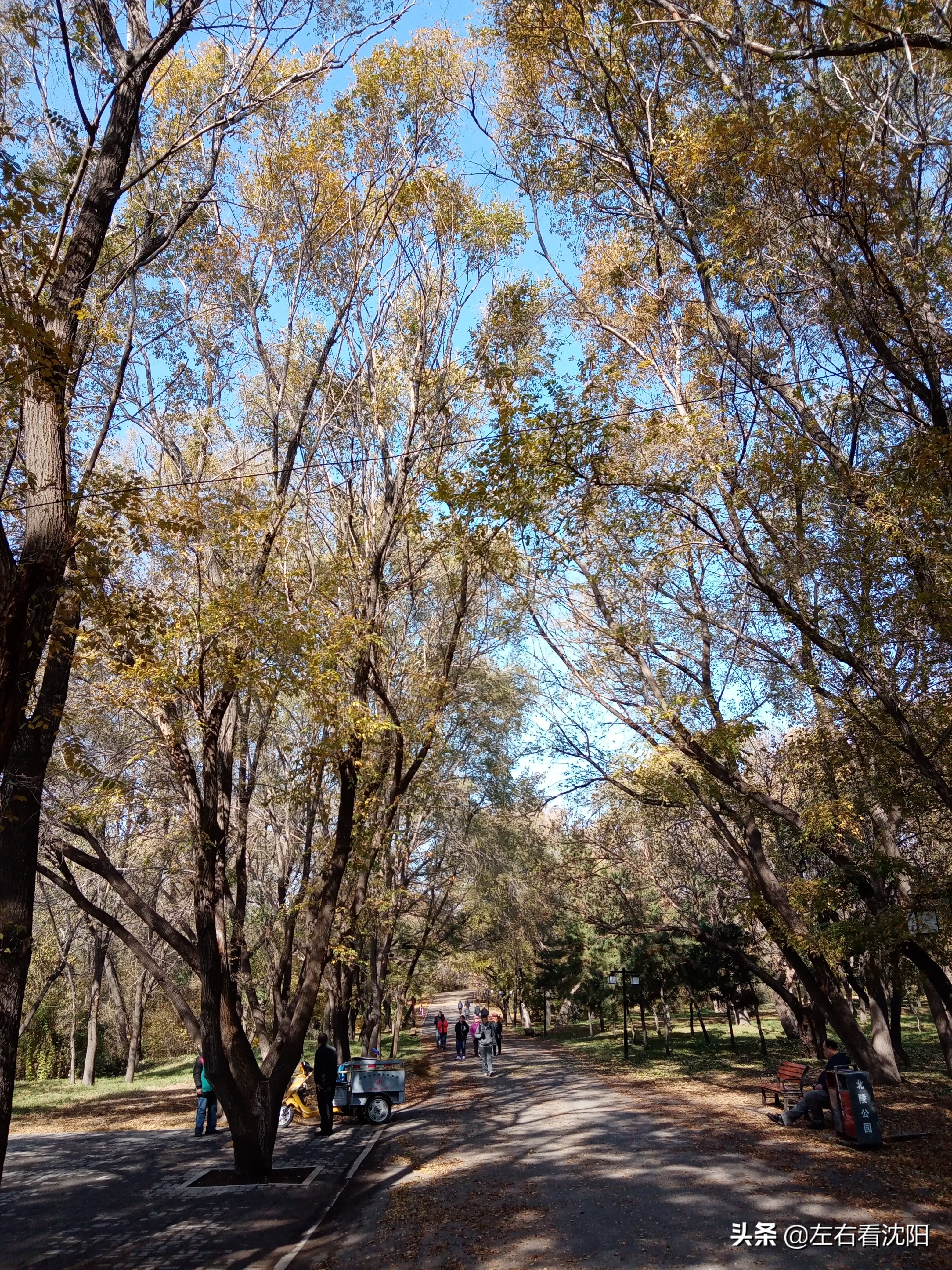 秋季沈阳北陵公园有啥好玩的,漫步沈阳北陵公园湖水边