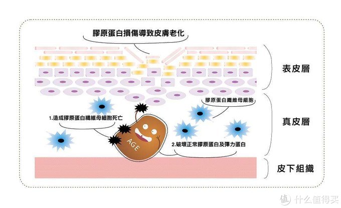 每天煮个饭就有神仙水! 各种小窍门秘诀大公开