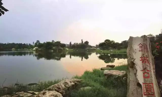 看看纽约中央公园的美景,真实的纽约中央公园