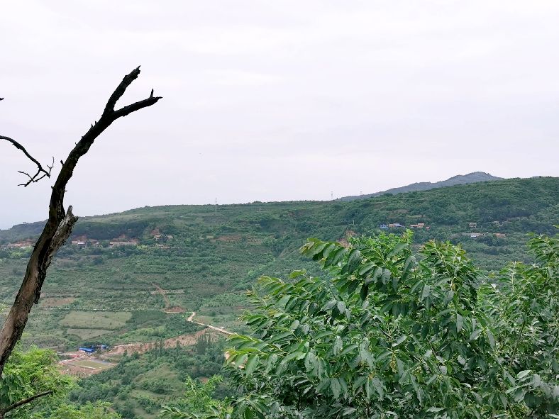 西安洪庆焚书坑儒,洪庆山焚书坑儒