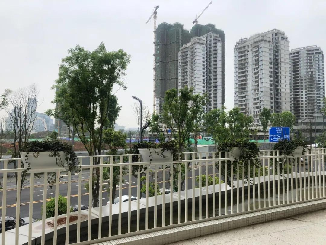 成都天府新区网红学校,实地探访成都最牛小学