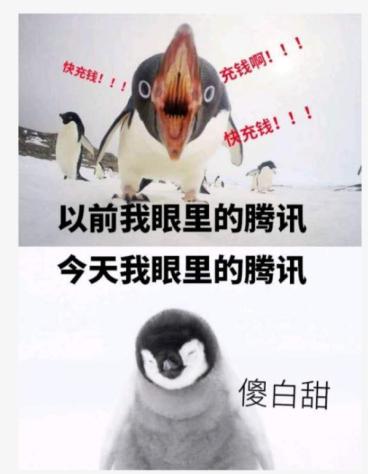 腾讯“企鹅”被骗1600万假辣椒酱,发视频哭惨,是真憨还是假憨?