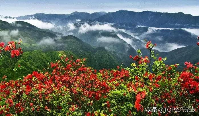 中国天然氧吧最好的去处在哪里,我国天然氧吧增56个