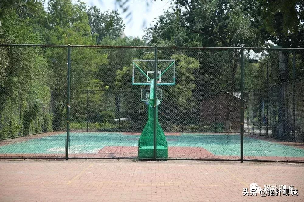 山东聊城室外篮球场,聊城篮球野球场
