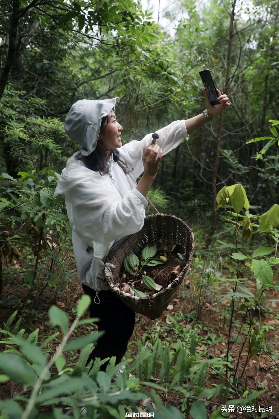 她带西班牙大厨上山捡菌，回昆明后煲出美味红菇汤