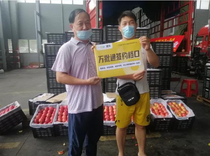 3年拓展300个城市30万批发商，一亩田旭日计划启动，助力农民卖货