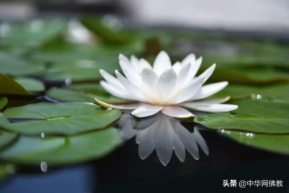 看佛有什么规矩,看佛经禁忌事项