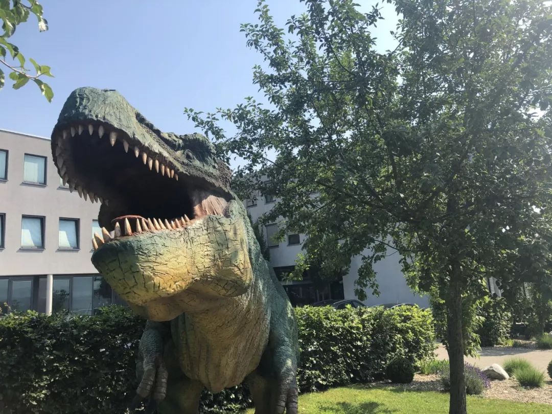 寰峰浗鎬濅箰鍎跨鐜╁叿,鎬濅箰鍝佺墝鐜╁叿