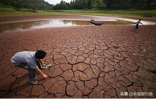 鲤鱼为什么在南方不受待见,东北的鲤鱼为啥跟南方的不一样