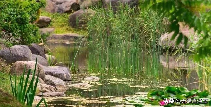 无锡夏天避暑的地方,无锡附近暑假避暑旅游好去处