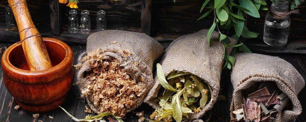 性平补肝肾中药,讲解药物性味归经主治病症的书