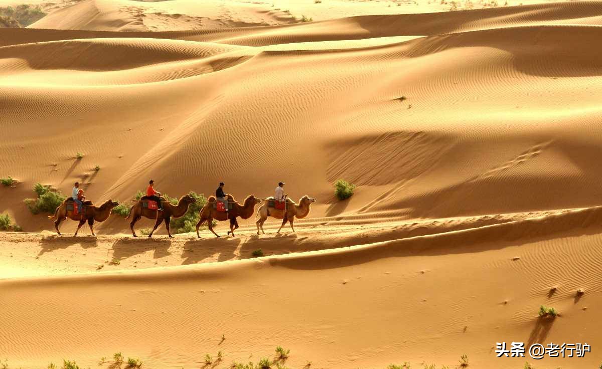 驴行天下自驾游,驴行天下户外自驾