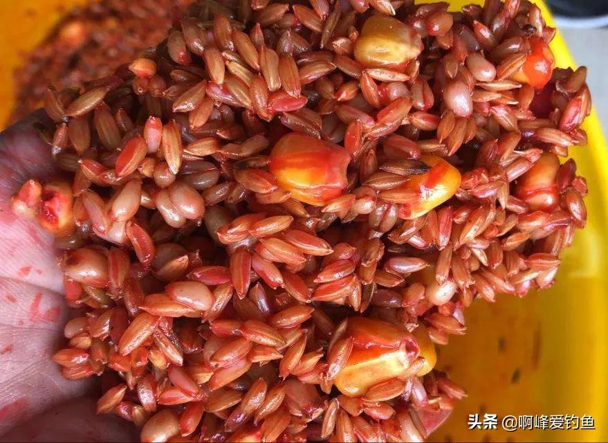 自制鱼饵配方大全野钓视频讲解,窝料配方野钓自制多久可以用