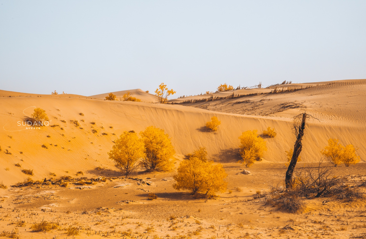 楼兰的消失之谜全集,楼兰古国的消失之谜