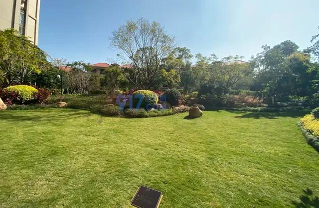 厦门海沧天源开盘价,海沧天源小区的房价是多少