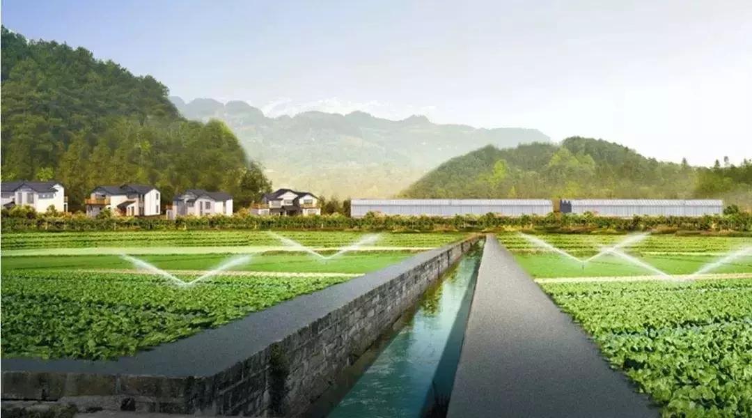 大蒜素和春雷霉素混用治什么病,大蒜素和春雷霉素属于什么性