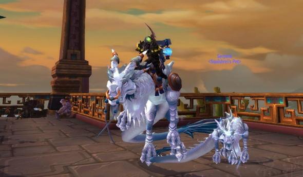 魔兽世界9.0.5猎人天赋,魔兽世界猎人9.0稀有宠物