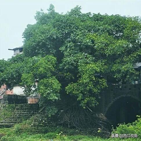 原汁原味“袖珍古镇”，人称“河边一只船”，山水清幽“小漓江”