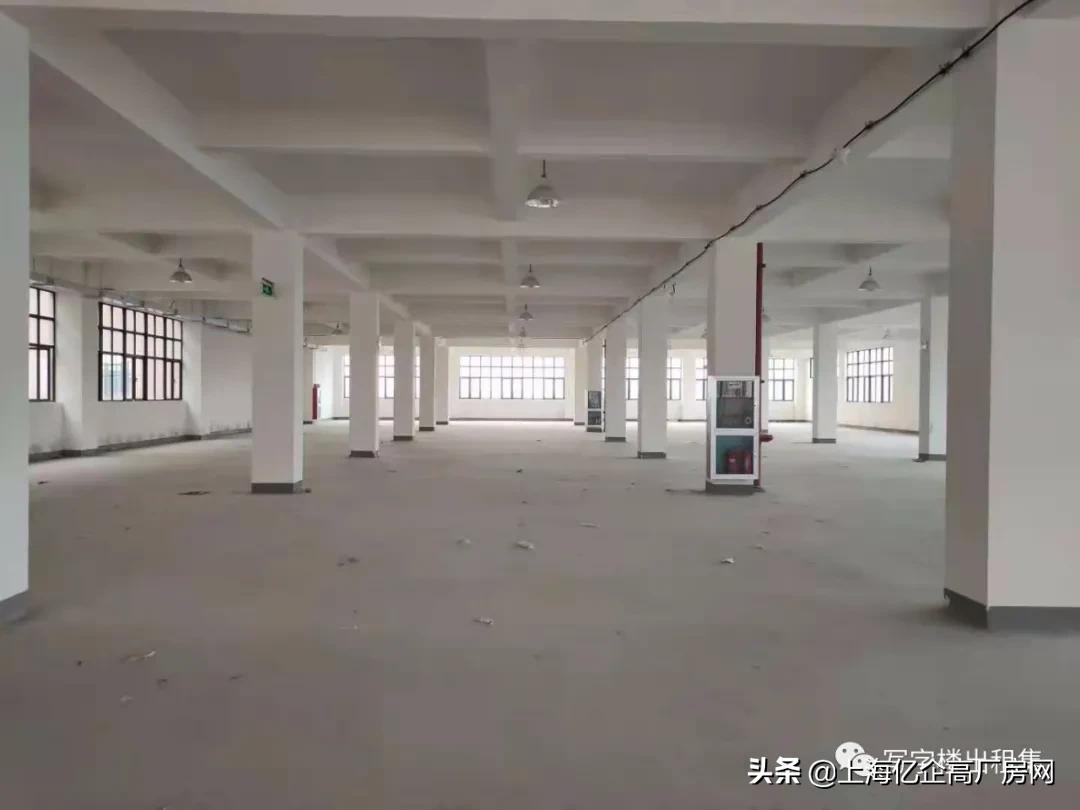上海金汇镇租厂房500平方左右附近,上海浦东区厂房仓库出租哪家好