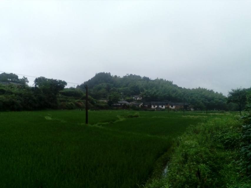 锡壶道士求雨图片大全,一把锡壶值多少钱