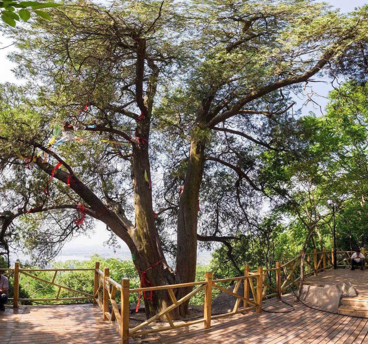 踏春五宝庵风景,踏春五宝庵山在哪里