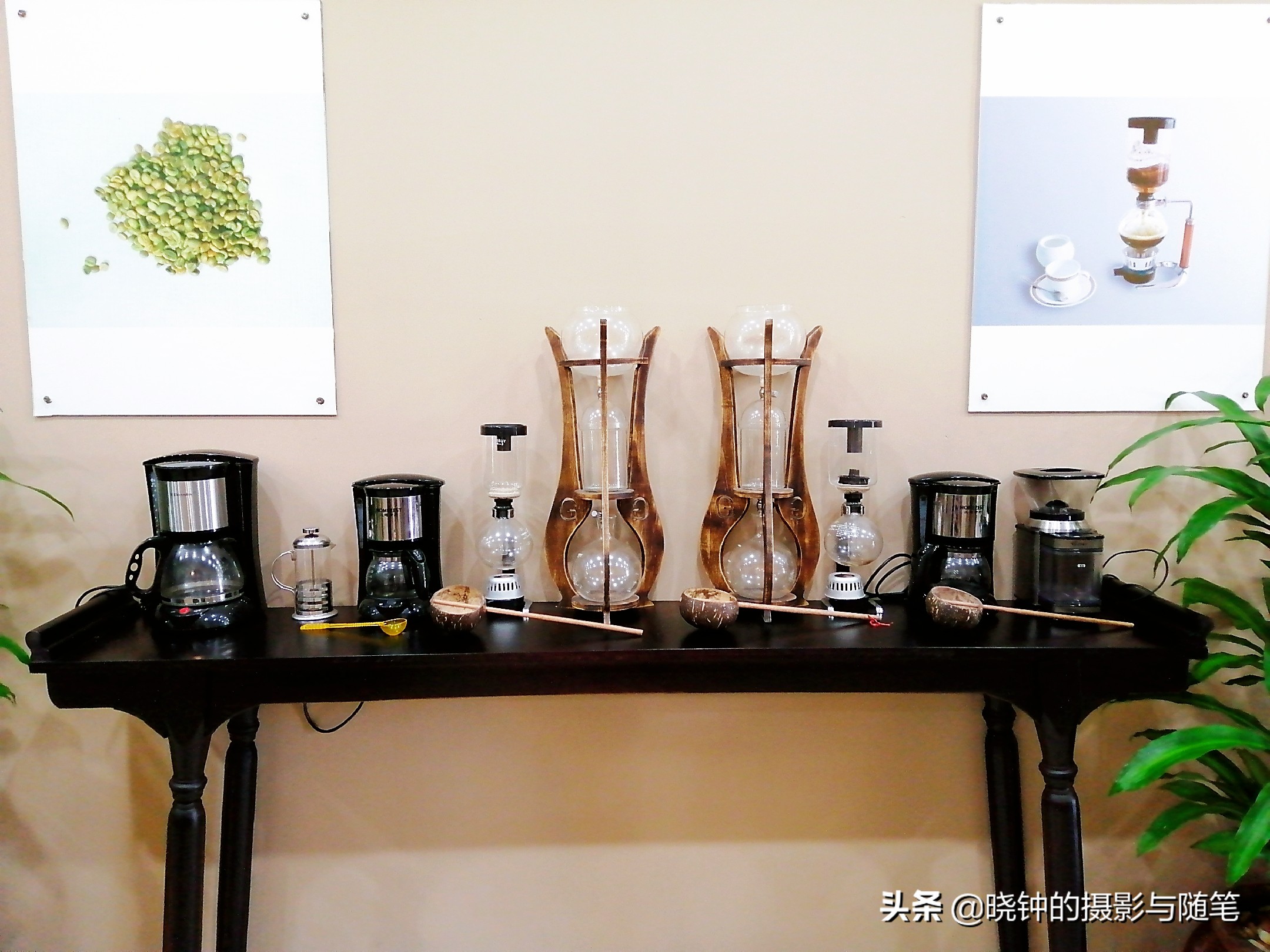 越南麝香猫速溶咖啡,野生麝香猫的猫屎咖啡