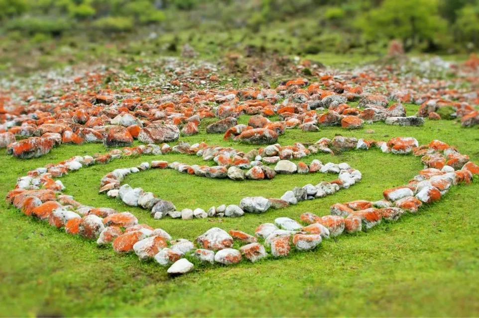 甲友心声患过甲癌的更长寿,甲友心声全文
