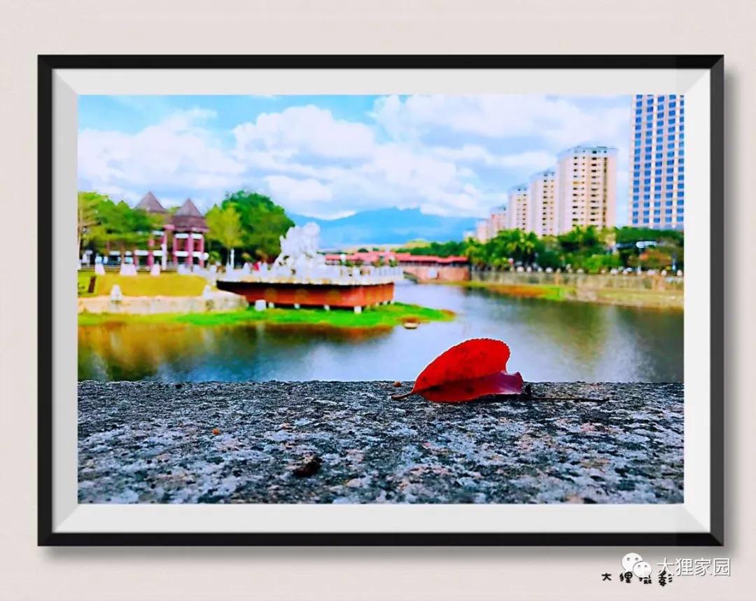 带娃的日子有滋有味,日子过得有滋有味广场舞