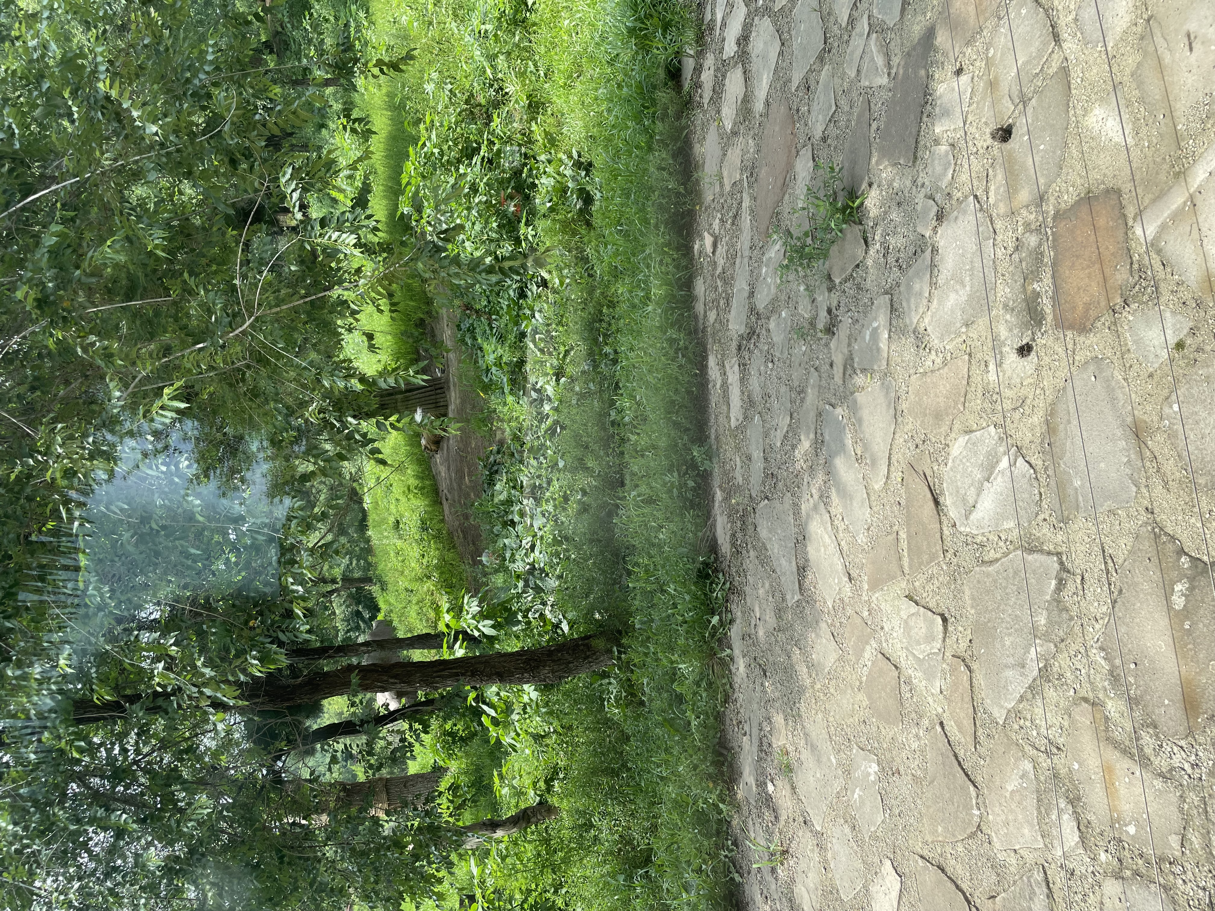 沈阳森林动物园春游,五一小长假去沈阳森林动物园游玩