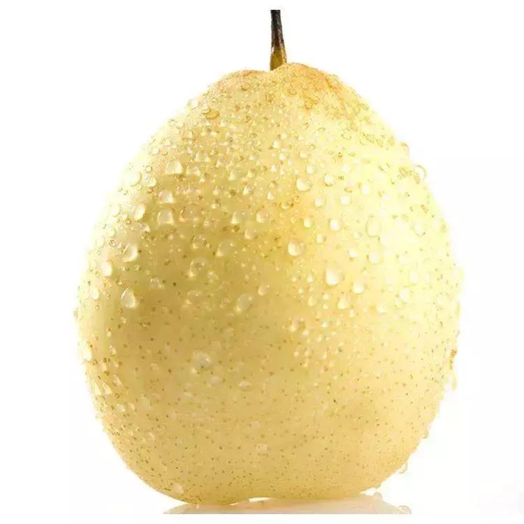 冷知识科普乳房不能乱揉,乳房不要随便做检查