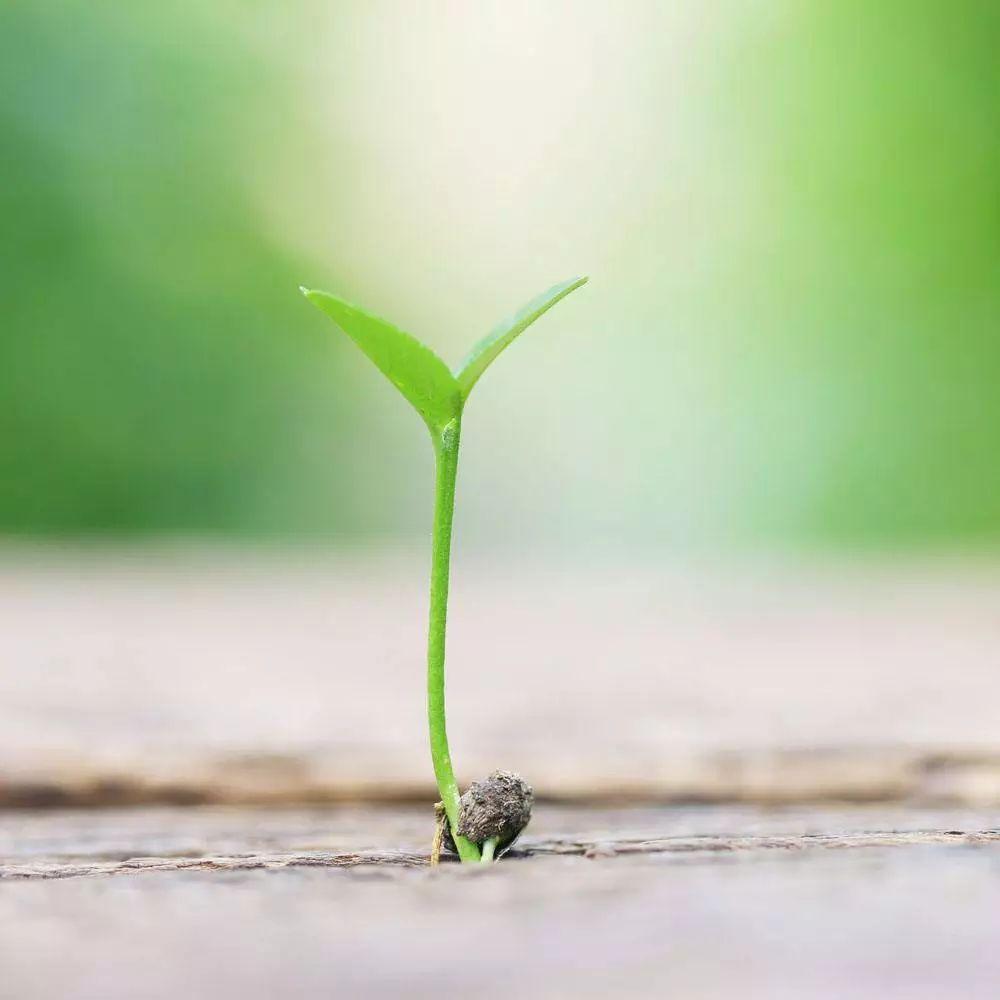 从宏观角度来看股票市场,煤炭板块逻辑走势分析