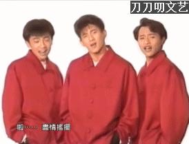 当年红极一时中国组合,红极一时的女子双人组合