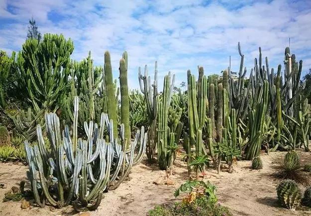 厦门什么地方吹海风吃着美食,厦门必吃海鲜吹海风