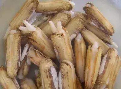 秦皇岛海鲜有哪几种比较好,这时的秦皇岛有哪些海鲜正当季